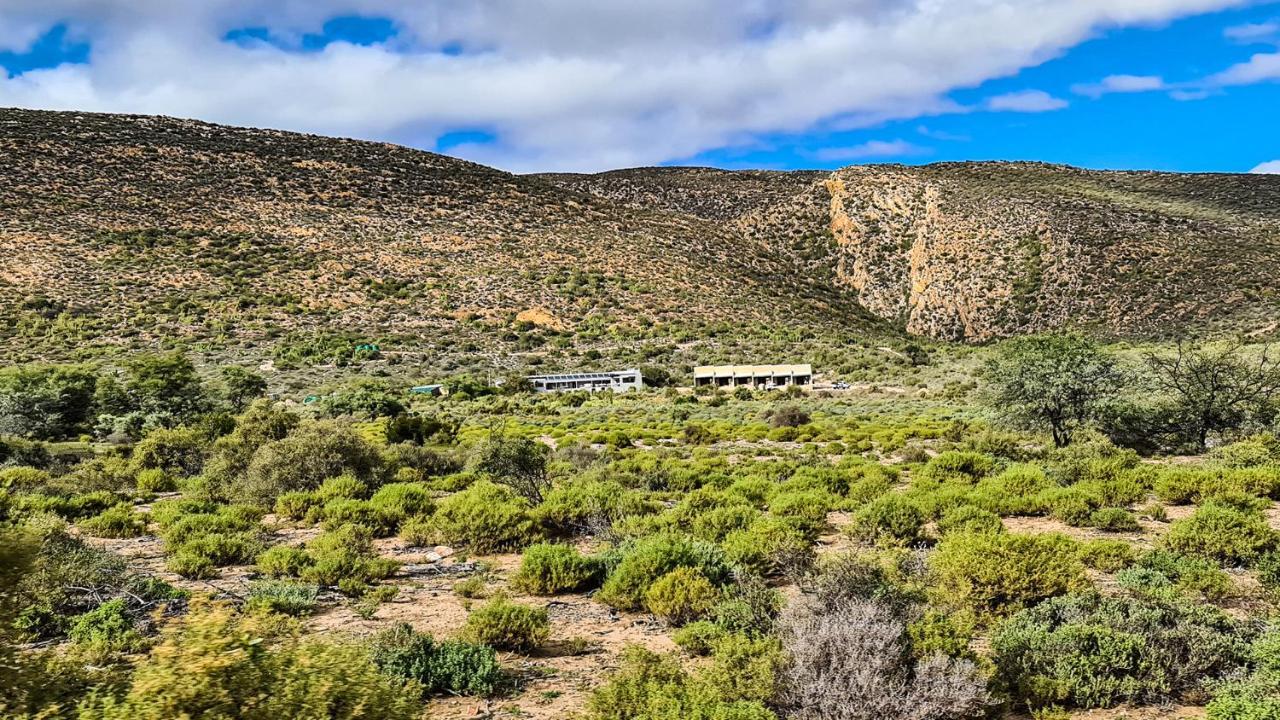 Rooiberg Wild Private Game Reserve Ladismith Dış mekan fotoğraf