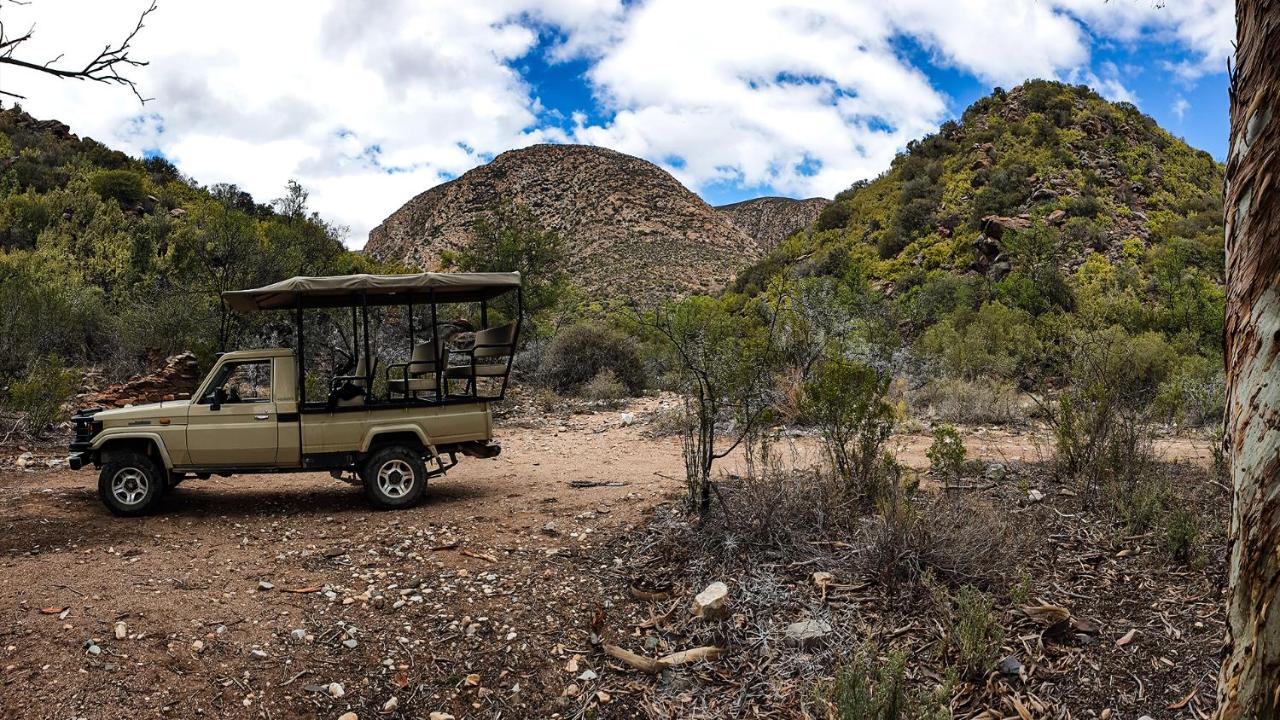 Rooiberg Wild Private Game Reserve Ladismith Dış mekan fotoğraf